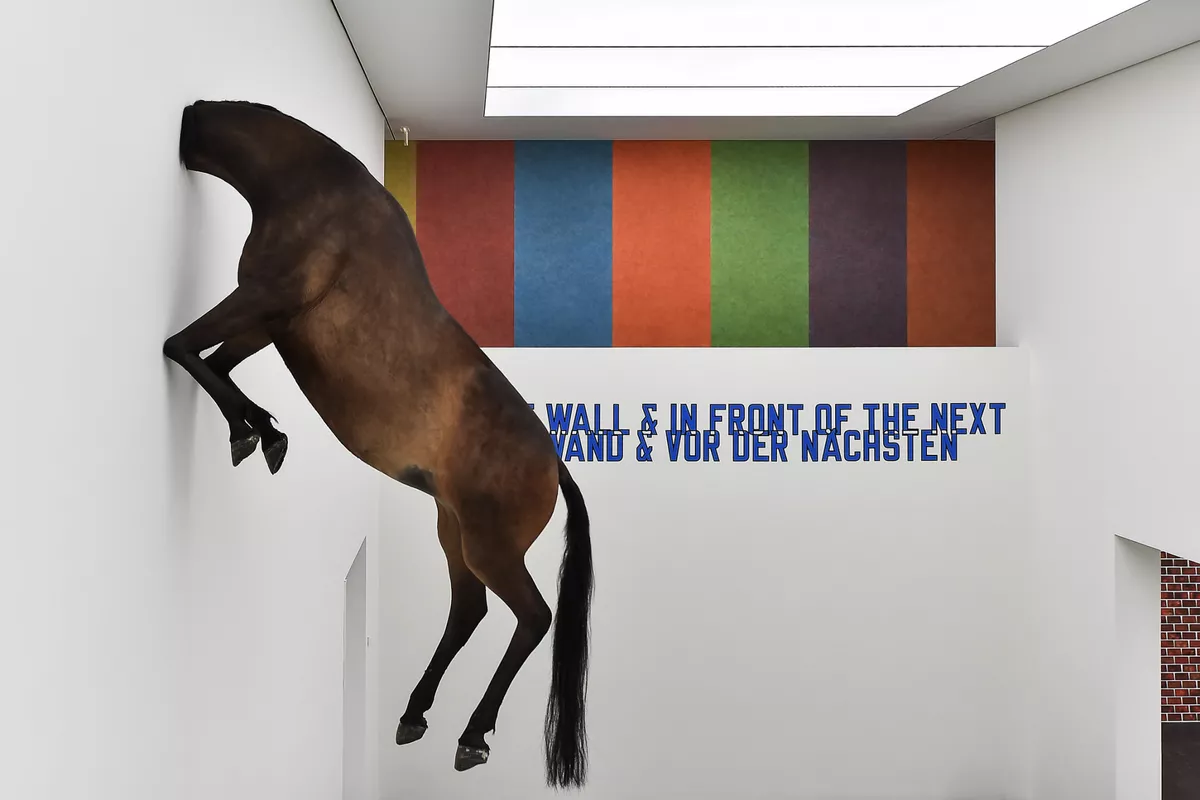 Kunstinstallation Pferd Kunstmuseum
